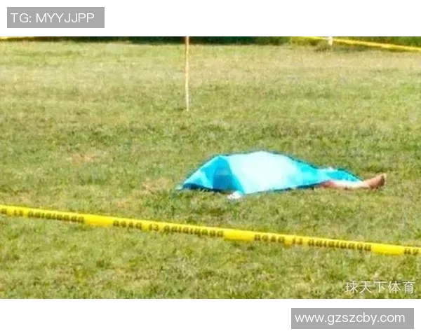 愤怒球迷赛后失控围殴当红球星引发社会对体育精神的深刻反思